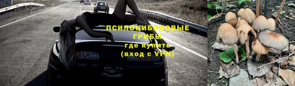 дурь Армянск