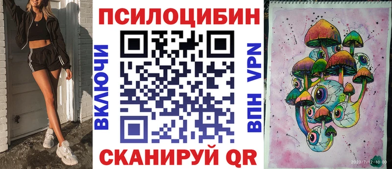 OMG зеркало  Енисейск  Псилоцибиновые грибы ЛСД 